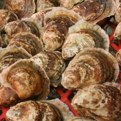 Regardless of the production method, the desired result is a well-shaped, tasty treat.