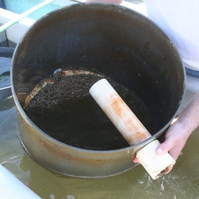 Constructed similar to the downweller units, this is an upweller cylinder for juvenile oyster growth. With this cylinder, water is introduced into the trough holding the cylinder, passes through the juvenile oysters sitting on the bottom mesh screen and exits through the pipe at the top of the cylinder. Ambient water is pumped into the trough to bring in naturally produced food (algae), passes through the oyster mass (which feeds on the algae), and then exits through the top pipe back into the trough and out via an overflow pipe back to the natural waters.