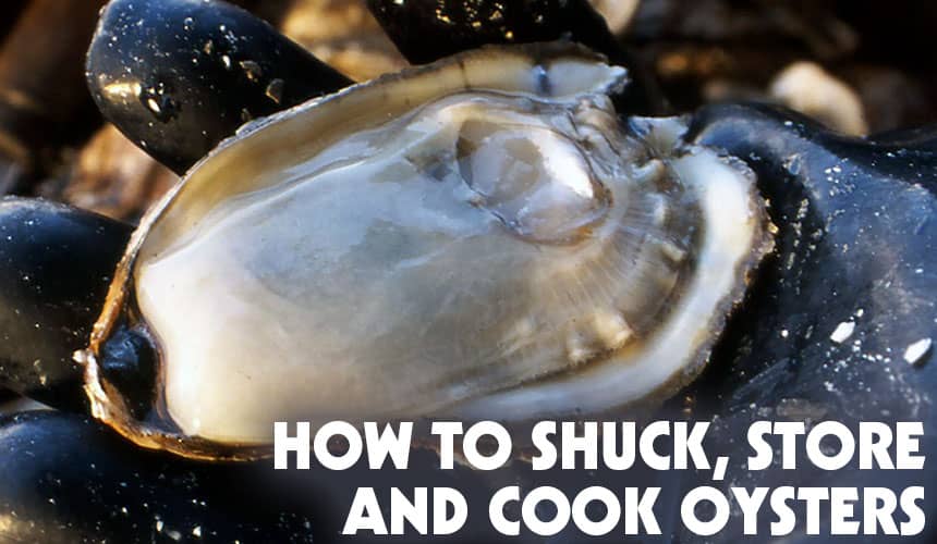 How to Shuck, Store, and Cook Virginia Oysters
