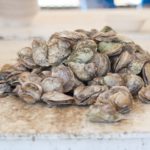 48th Annual Chincoteague Oyster Festival